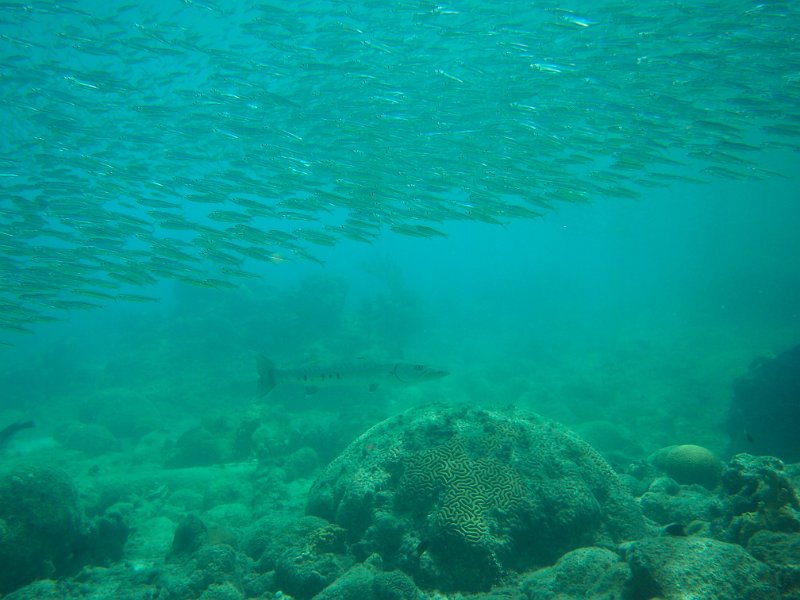 Curacao 04-12 071.JPG